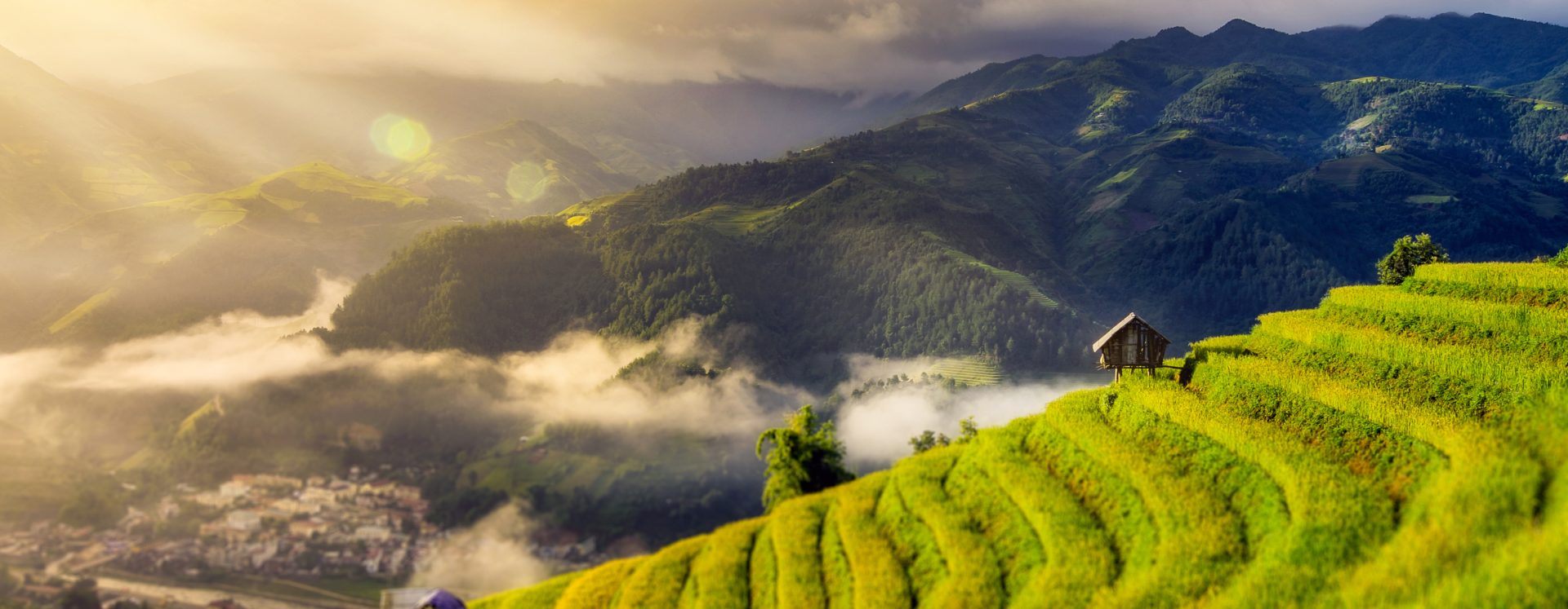 Ha Giang Hoang Su Phi Rice Terrace