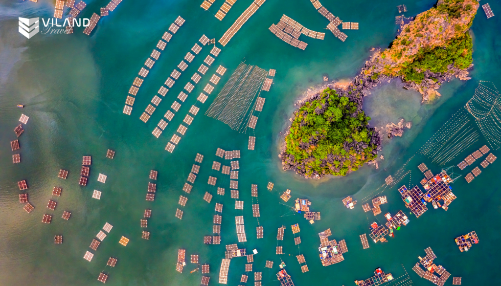 Ha Long Bay landscapes