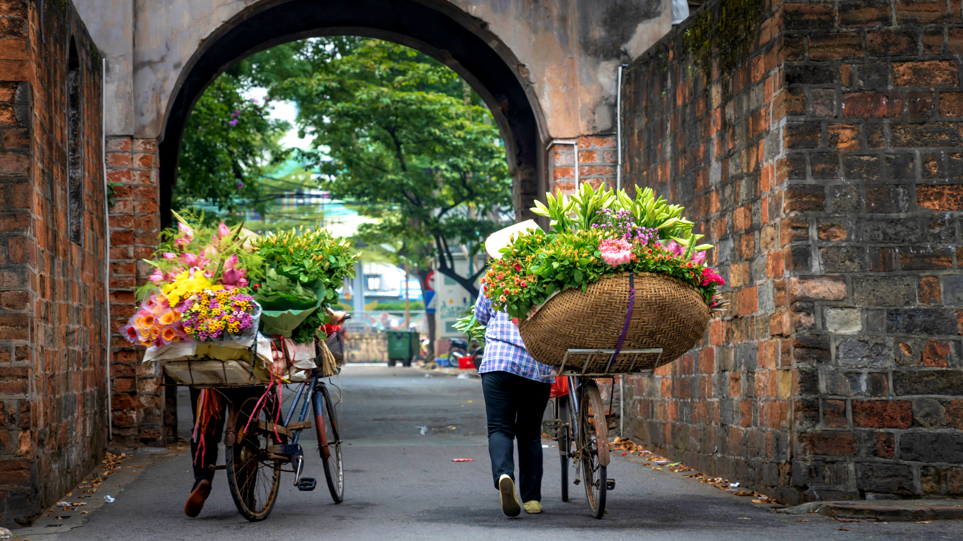 Ha Noi Street Vendors