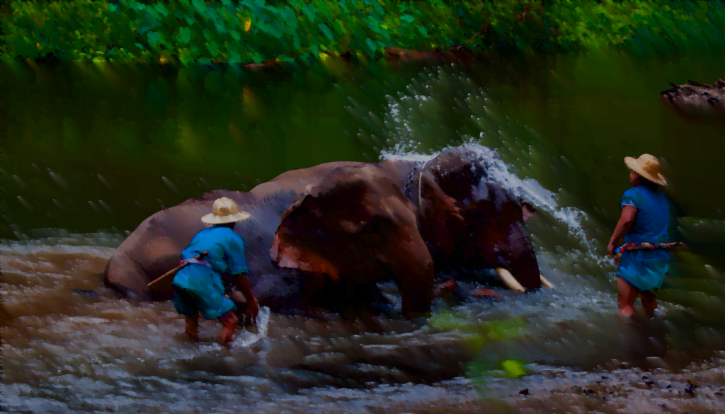 Luang Prabang elephant camp