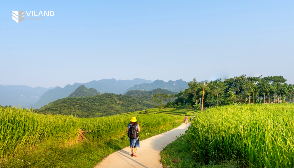 Pu Luong trekking trail