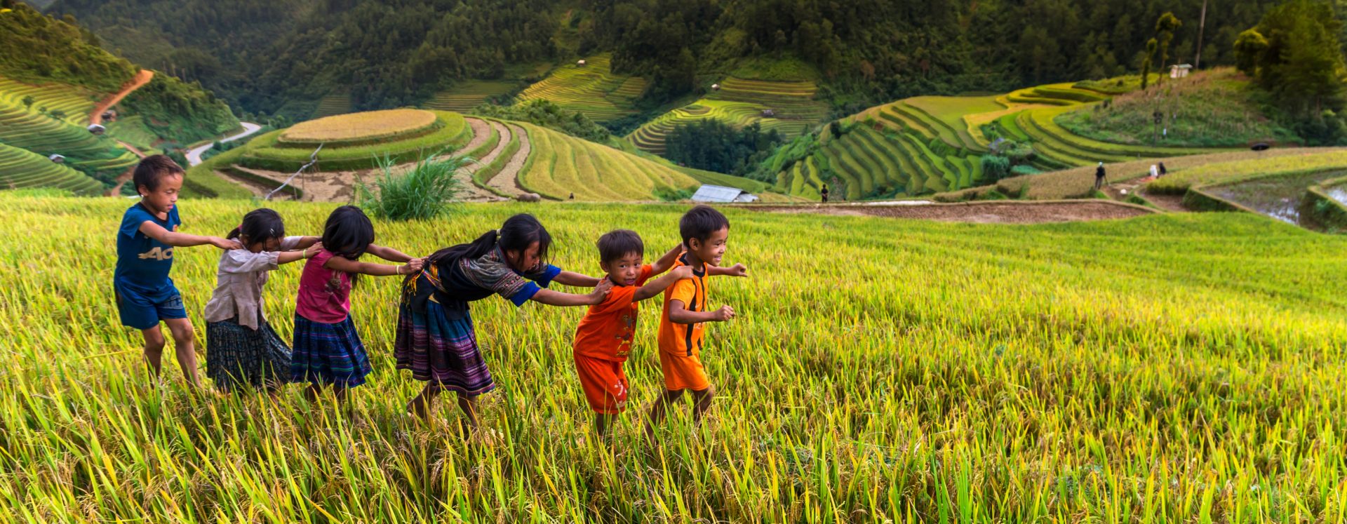 Sapa Rice Ethnic Minority People