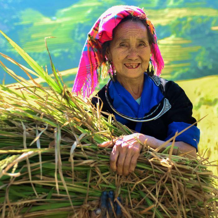 ha-giang-rice-ethnic-minority-people-viland-travel-2