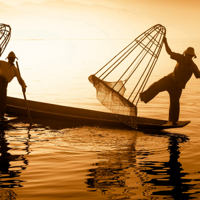 Inle lake traditional fisherman