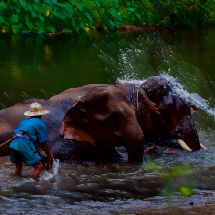 Luang Prabang elephant camp