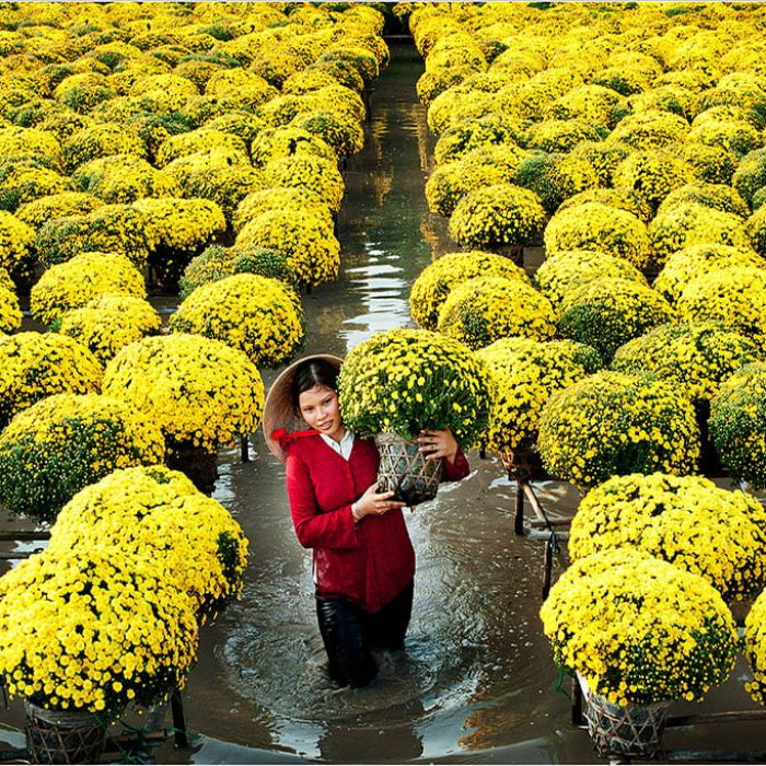 sa dec flower village